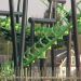 Picture of X-Flight on a bank turn.